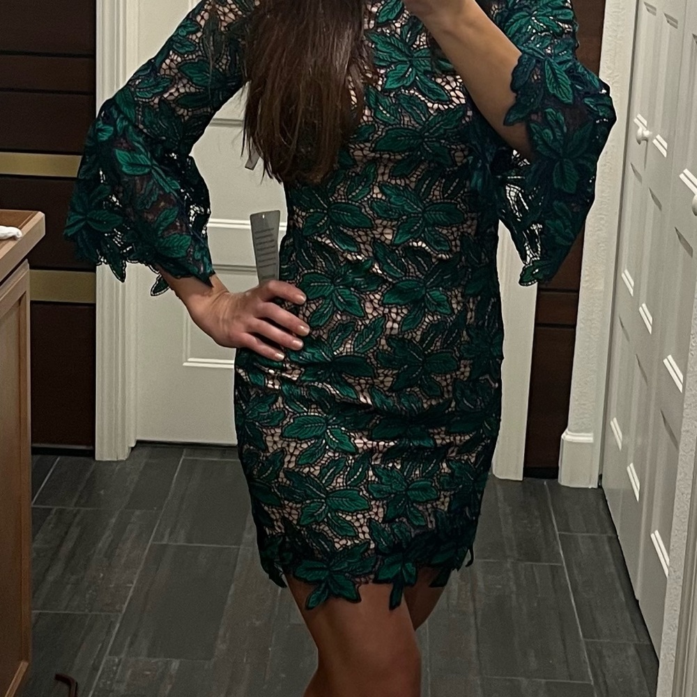 Dress the Population Lace Mini Cocktail Dress (Green/Navy) - Picture 3 of 13